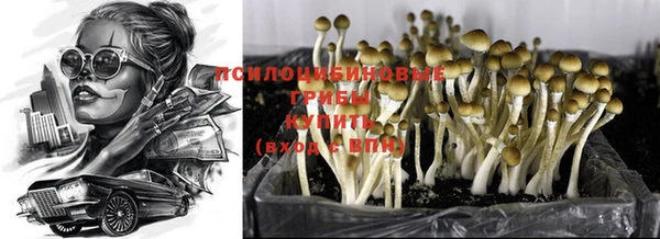 бутират Алзамай