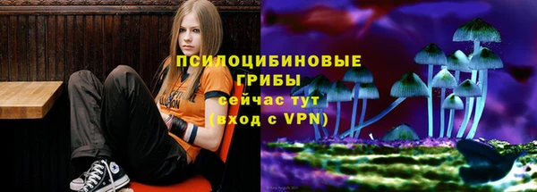 бутират Алзамай