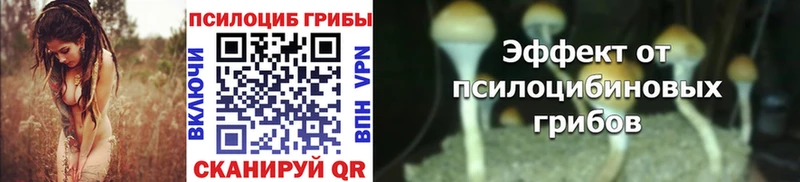 что такое   Арзамас  Галлюциногенные грибы Psilocybe 