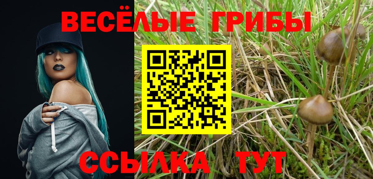 Галлюциногенные грибы прущие грибы Арзамас