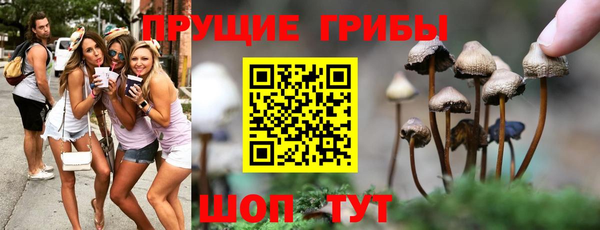 купить наркотики цена  Псилоцибиновые грибы Magic Shrooms  Арзамас  Вход с VPN  Псилоцибиновые грибы ЛСД 